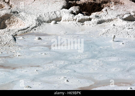 Vista ingrandita della fontana vaso di vernice nel Parco Nazionale di Yellowstone Foto Stock