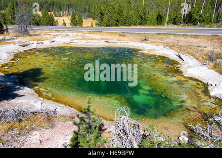 Vista della piscina in pelle nella fontana vaso di vernice area del Parco Nazionale di Yellowstone Foto Stock