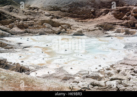 Vista sbalorditiva fontana del vaso di vernice nel Parco Nazionale di Yellowstone Foto Stock