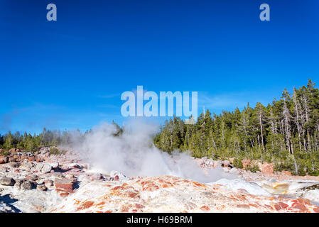 Vista di Steamboat Geyser nel Parco Nazionale di Yellowstone Foto Stock