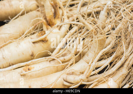 Macro di estratto secco di radici di ginseng,messa a fuoco selettiva con sfocatura dello sfondo. Foto Stock