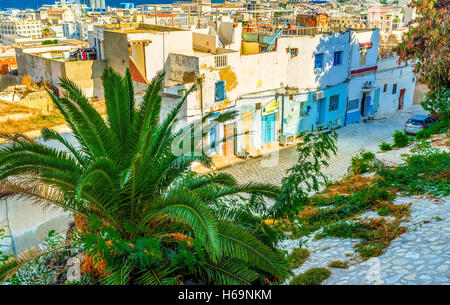 La fantastica vista sui quartieri residenziali della vecchia Medina dalla sommità della Kasbah Foto Stock