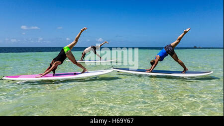 Lo Yoga su uno stand up paddle board, ha insegnato a Bahia Honda State Park lungo la Florida Keys da serenità Eco terapia. Foto Stock