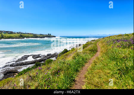 Vista della costa e percorso in corrispondenza di Kiama, Illawarra Costa, Nuovo Galles del Sud, NSW, Australia Foto Stock