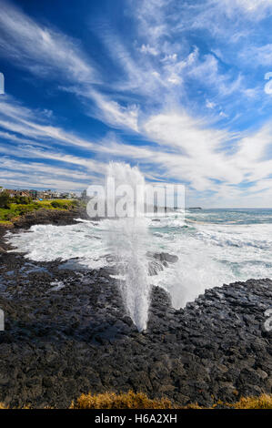 Vista di Kiama piccolo foro di colpo fragoroso durante un rigonfiamento, Kiama, Illawarra Costa, Nuovo Galles del Sud, NSW, Australia Foto Stock