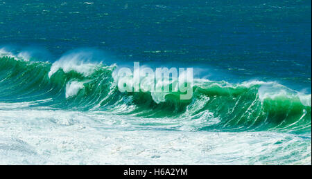 Le onde che si infrangono durante un rigonfiamento sulla costa di Illawarra, Gerroa Headland, Testa nera punto, Nuovo Galles del Sud, NSW, Australia Foto Stock