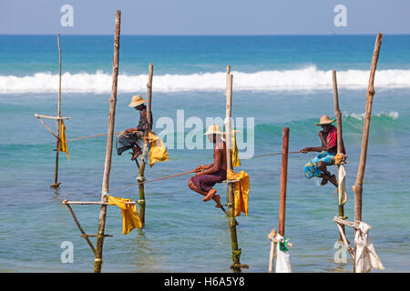 I pescatori siedono sui loro trampoli in attesa di banchi di pesci che passano le loro palafitte in acque poco profonde, sril lanka Foto Stock