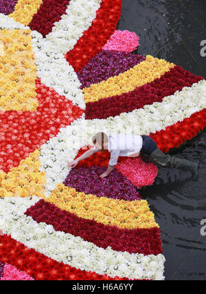 L'artista floreale James Buswell mette il tocco finale ad un'installazione di fiori in stile rangoli 9x9m nella fontana di Cabot Square, Canary Wharf, Londra, fatta con oltre 6,000 fiori per celebrare Diwali, il Festival della luce. Foto Stock