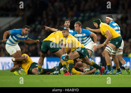 Londra, Regno Unito. 08 ott 2016. Il campionato di rugby, Round 6: faccia Argentina Australia a Twickenham Stadium di Londra, 08.10.2016 con sfera: Sarà Genia (Australien, 9) Fotografo: Jürgen Kessler © dpa/Alamy Live News Foto Stock