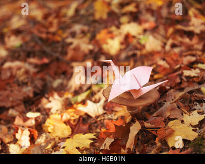 Carta Origami gru seduto su un fungo in autunno la natura paesaggio Foto Stock