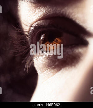 Primo piano della donna occhio marrone in presenza di luce solare Foto Stock