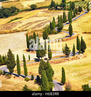 Cipresso strada panoramica a Monticchiello vicino a Siena, Toscana, Italia, Europa. Foto Stock