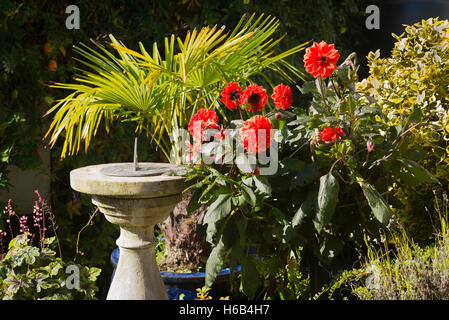 Meridiana e piante in una piccola rivolta a sud giardino patio Foto Stock