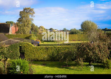 Paese giardino siepi di faggio rifilato in collezione autunno pronto per l'inverno Foto Stock