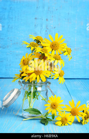 Fresh cut margherite in un vaso Foto Stock