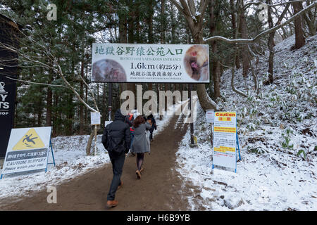 Nagano, Giappone - 26 dicembre 2015: Ingresso della neve Jigokudani Monkey Park in Giappone. Essa è famosa per la sua vasta popolazione o Foto Stock