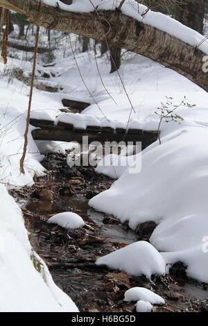 Creek in inverno, che scorre tra i banchi di neve Foto Stock