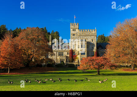 Hartley Castello alla Strada Regia Università con alberi d'autunno-Victoria, British Columbia, Canada. Foto Stock