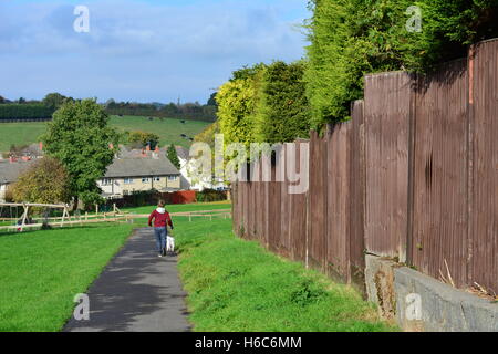 British autunno; il bambino a piedi con il suo cane nel parco lungo il percorso Foto Stock