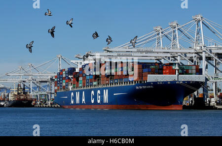 Piccioni vola vicino la nave CMA CGM CENTAURO che è ormeggiata al Porto di Oakland a Oakland, in California. Foto Stock