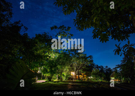 Un ayahuasca shipibo medicina vegetale healing center nell'Amazzonia peruviana la foresta pluviale di notte. Foto Stock