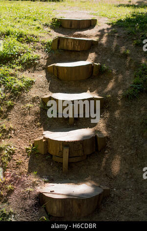 Immagine di una scala in legno realizzato a partire da tronchi di alberi Foto Stock