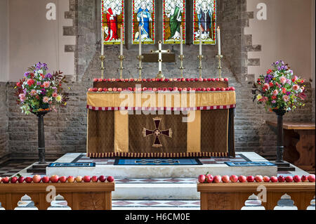 Clungunford, Shropshire, Regno Unito. Harvest Festival flower display con mele decorare l altare in St Cuthbert Foto Stock