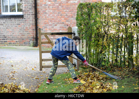 Nipote aiutando chiaro lascia nel giardino dei nonni Foto Stock