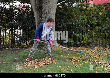 Nipote aiutando chiaro lascia nel giardino dei nonni Foto Stock