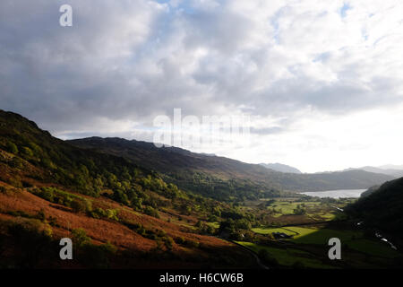Autunnale di scena in Snowdonia, il Galles del Nord che mostra il bosco intorno Llyn Gwynant. Foto Stock