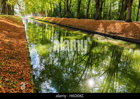 Parco tranquillo scena con canale in autunno, gli alberi riflettono nell'acqua del canale Foto Stock