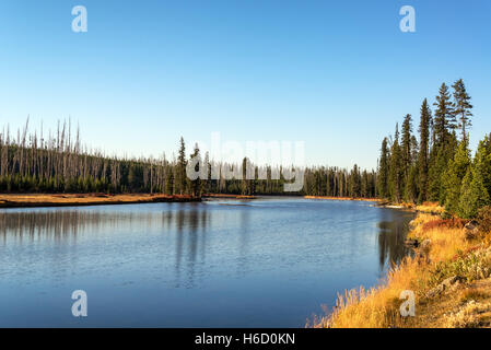 Vista del paesaggio del fiume Snake nel Parco Nazionale di Yellowstone Foto Stock