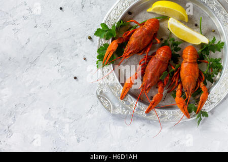 Aragosta bollita, limone e prezzemolo su un sfondo di calcestruzzo. Sfondo di cibo. Il concetto di mangiare sano. Vista superiore, copia spac Foto Stock