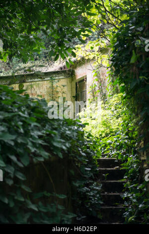 Cottage di nascosto sulla Montagna Verde Isola di Ascensione Foto Stock