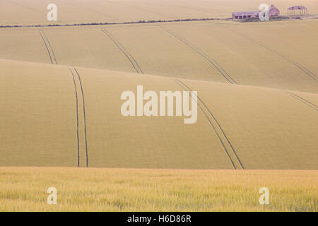 I campi di rotolamento/campagna e abbandonata granaio sulla collina vicino Fradaythorpe, Yorkshire Wolds, East Yorkshire, Regno Unito Foto Stock