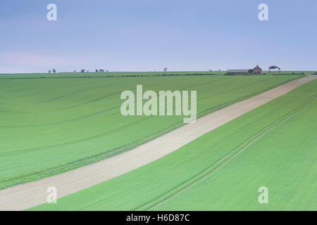 Campi coltivati e le aree ex granaio sulla collina vicino Fridaythorpe nel Yorkshire Wolds, East Yorkshire, Regno Unito Foto Stock