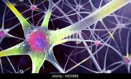 Illustrazione rappresentata - cellula nervosa Foto Stock