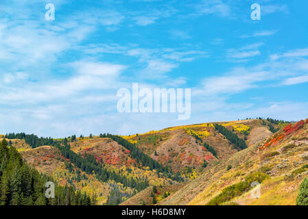 Belle colline colorate in Wyoming meridionale con rosso, giallo, arancione e verde fogliame insieme contro un cielo blu Foto Stock