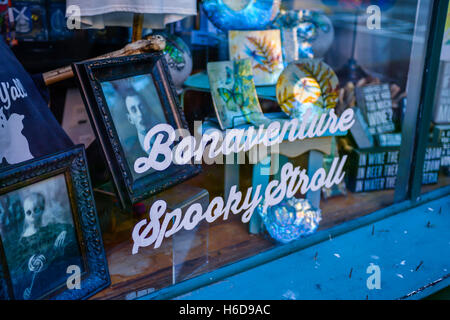 Vetrina unica del Magnolia di Savannah store su Bull street, offrendo il cimitero Bonaventura Ghost Tours a Savannah, GA Foto Stock