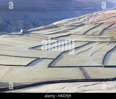 Campi smerigliato e muri in pietra a secco vicino a Arncliffe, Littondale, Yorkshire Dales, North Yorkshire, Regno Unito Foto Stock