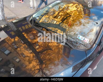 Albero e appartamento edificio riflettendo in auto del parabrezza Foto Stock