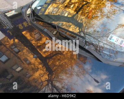 Albero e appartamento edificio riflettendo in auto del parabrezza Foto Stock