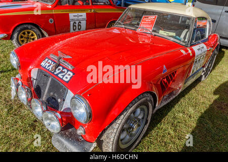 1967 Austin Healey 3000 Mk3 di Michael Darcey al 2016 Goodwood Festival of Speed, Sussex, Regno Unito Foto Stock