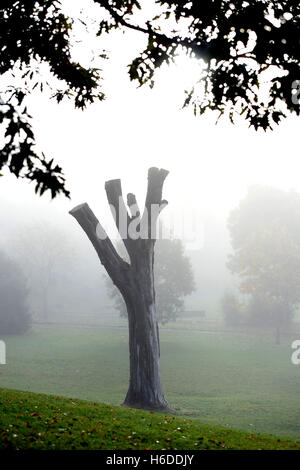 Brighton, Regno Unito. 27 ott 2016. Una bella nebbiosa mattina autunnale in Queens Park Brighton Credito: Simon Dack/Alamy Live News Foto Stock