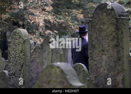 Amburgo, Germania. 27 ott 2016. Vista del cimitero ebraico di Amburgo, Germania, 27 ottobre 2016. Dopo il quartiere Speicherstadt, il cimitero ebraico di Altona è detto per diventare il secondo Patrimonio Mondiale UNESCO di Amburgo. Foto: Axel HEIMKEN/dpa/Alamy Live News Foto Stock