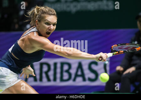 Singapore indoor stadium, Singapore. 27 ottobre, 2016. BNP Paribas WTA finals Women Tennis Association .Romanian player Simona Halep in azione durante il suo secondo round robin match vs lettore slovacca Dominica Cibulkova Credito: Yan Lerval/Alamy Live News Foto Stock