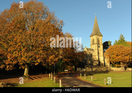 La Chiesa di San Pietro, Tunbridge Wells, Gran Bretagna. Il 18 novembre 2016. Perfect Blue Skies su St Pete's chiesa si affaccia Southborough comune con Golden Autumn foglie degli alberi. Credito: Tony Rogers/Alamy Live News Foto Stock