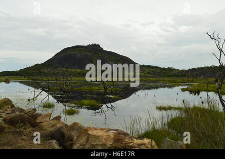 Elefante in pietra, Venezuela. Foto Stock