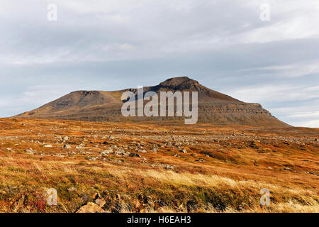 Geysirofa vulcano, a nord-est dell'Islanda, del Nord Atlantico, Europa Foto Stock