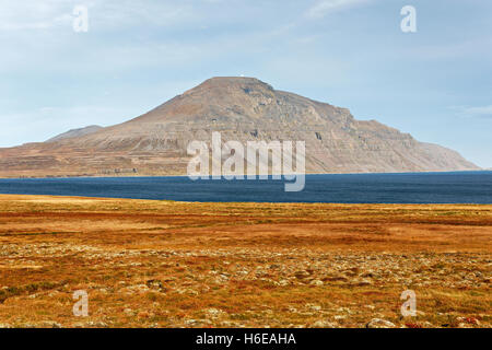 Geysirofa vulcano, a nord-est dell'Islanda, del Nord Atlantico, Europa Foto Stock